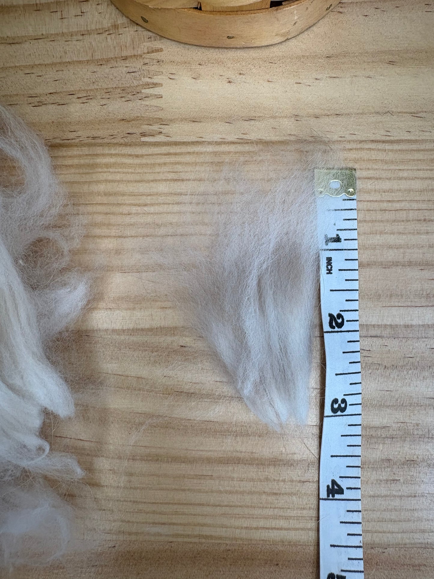 Angora Rabbit 1oz. Fiber Bundle