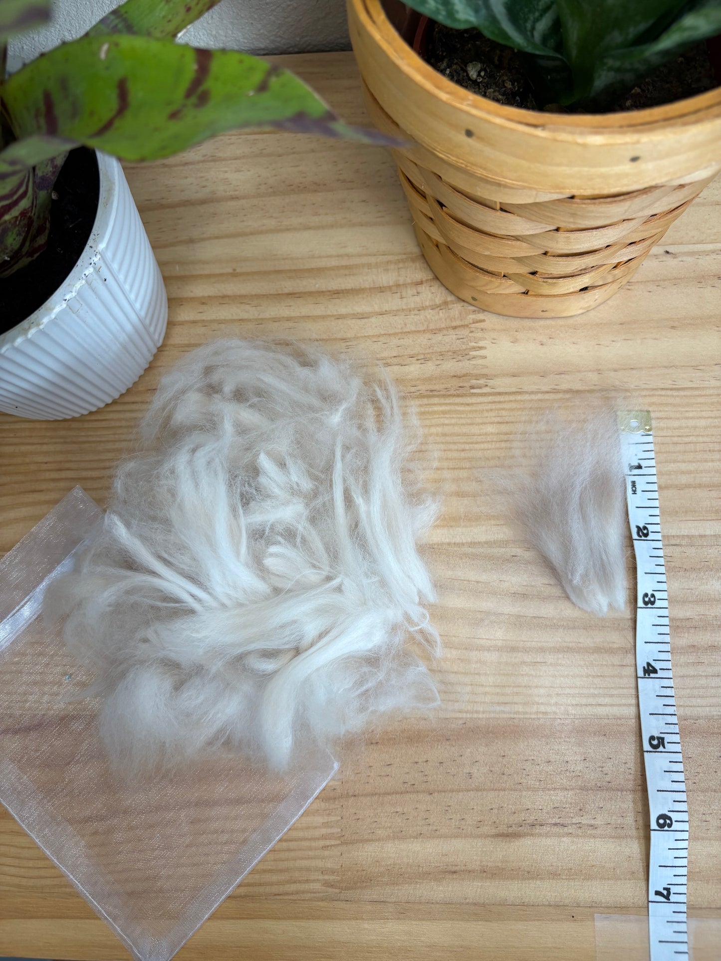 Angora Rabbit 1oz. Fiber Bundle