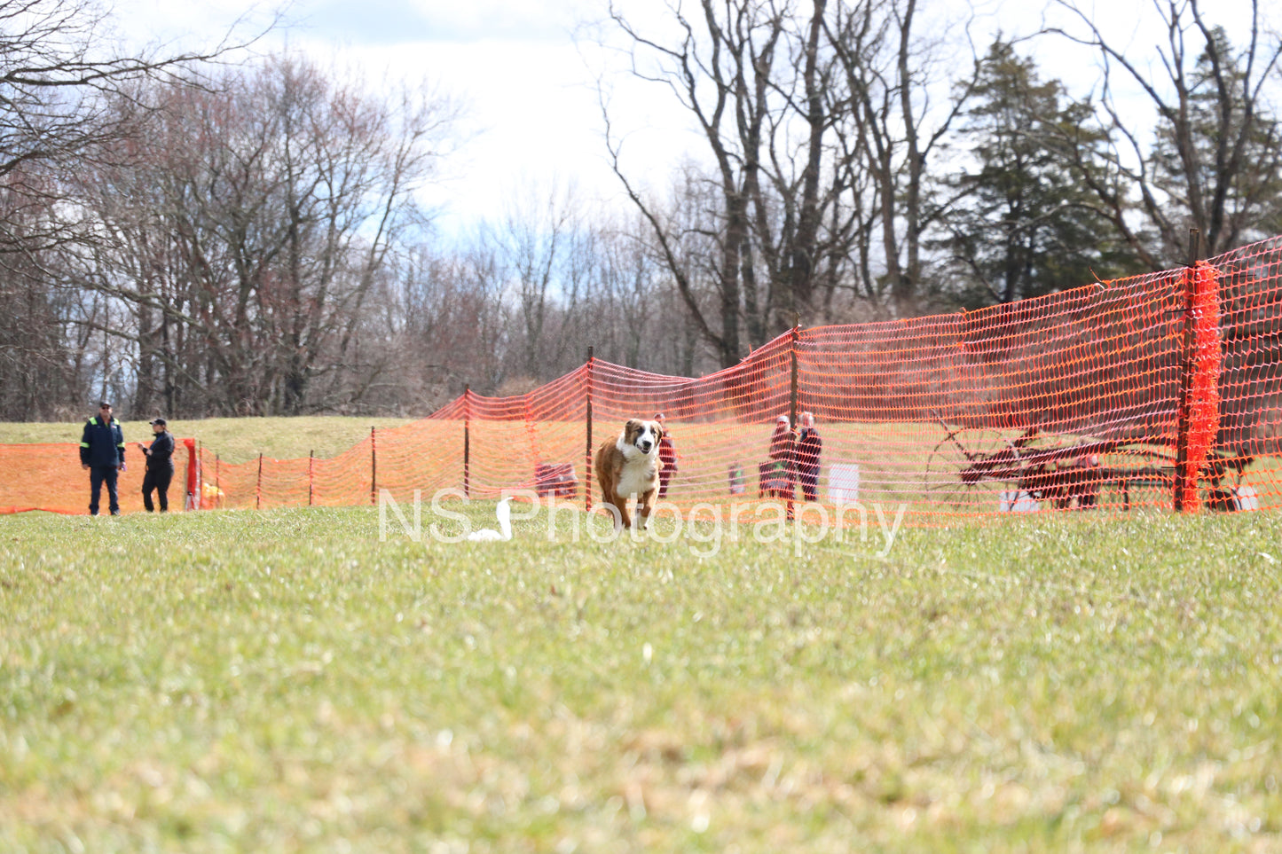 Chase (IMG3475)