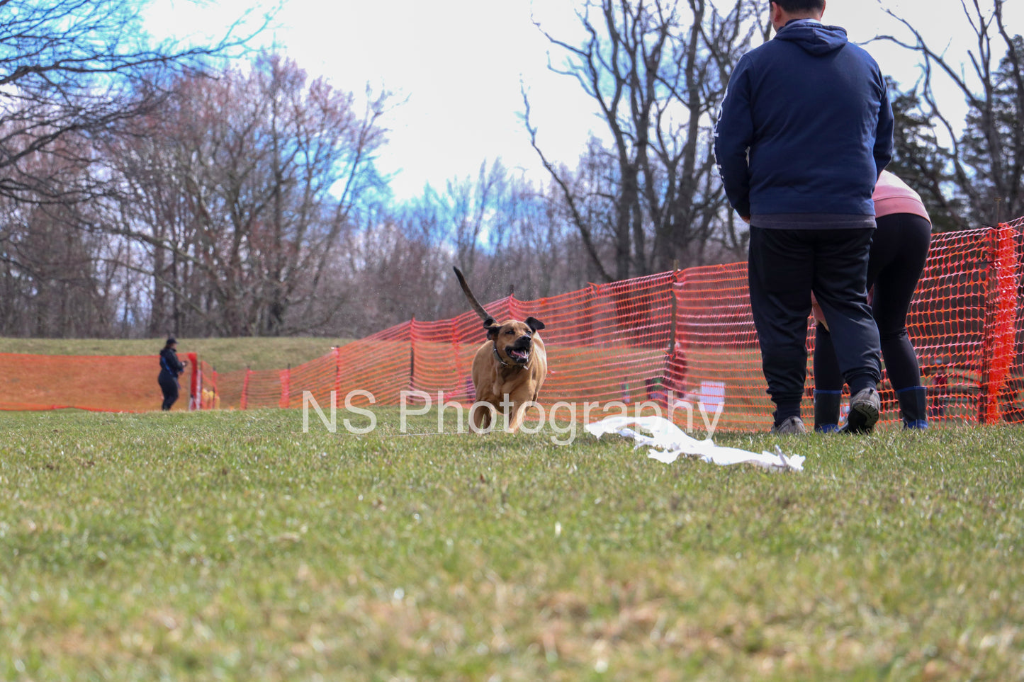 Rocky (IMG3525)