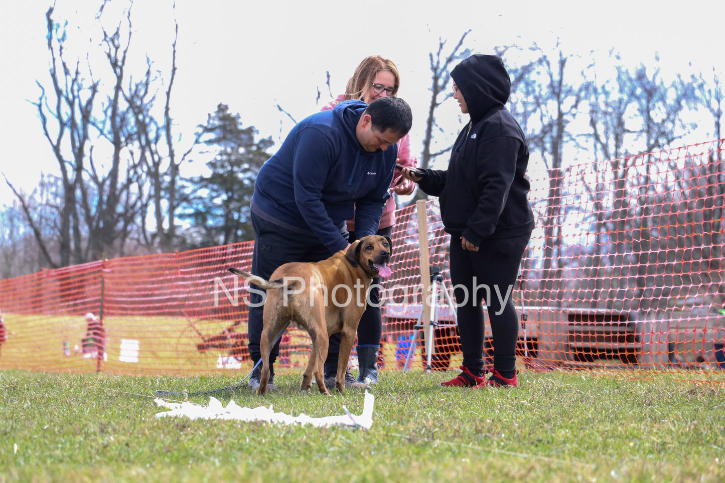 Rocky (IMG3531)