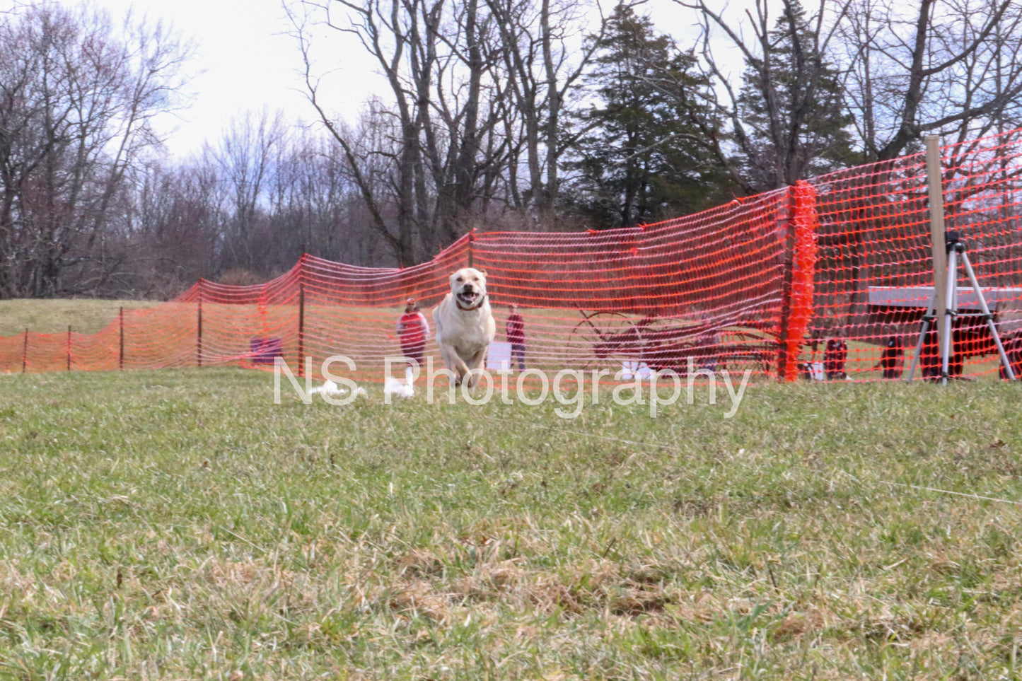 Oakley (IMG4146)