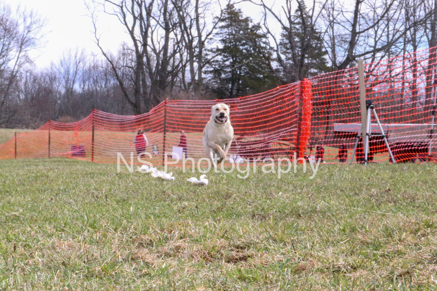 Oakley (IMG4147)