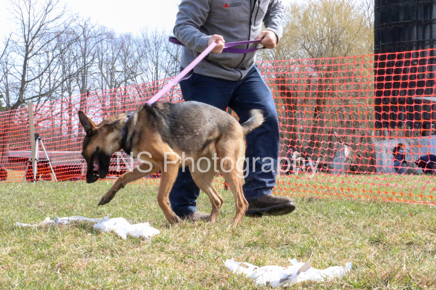 Mia (IMG4455)