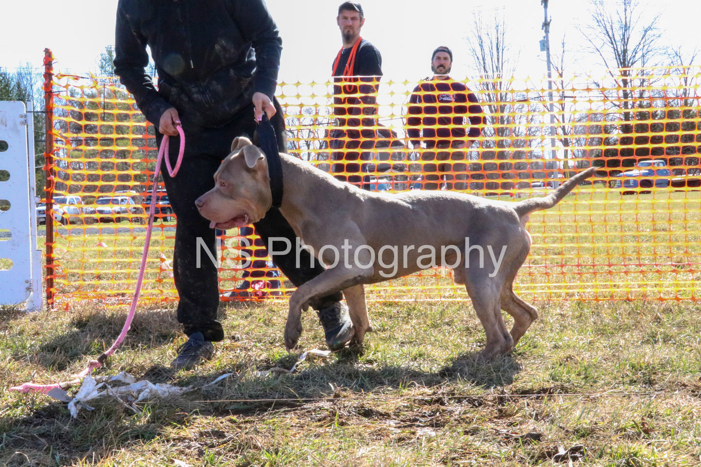 Simba (IMG5170)