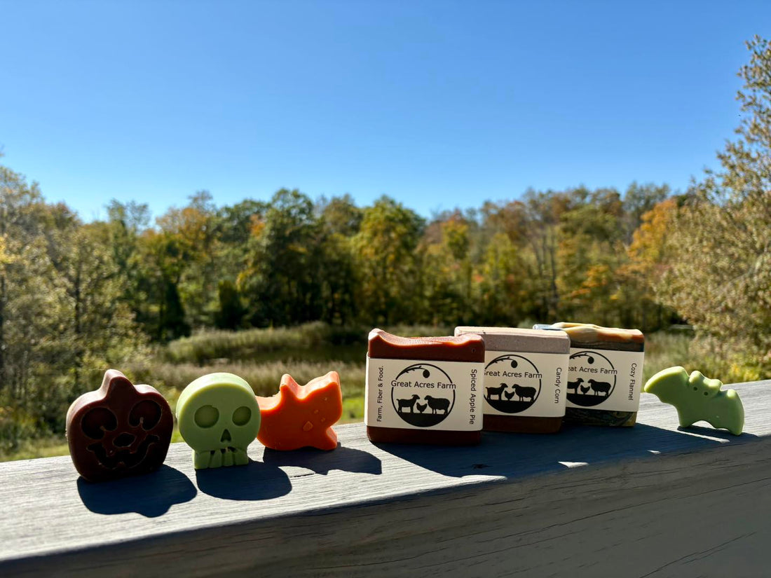 Fall Favorites Incoming!
