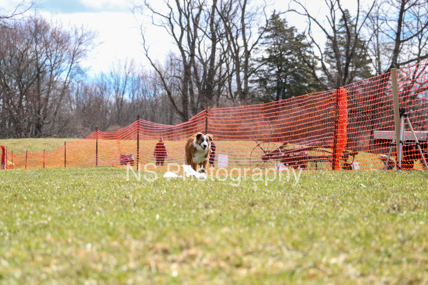 Chase (IMG3477)