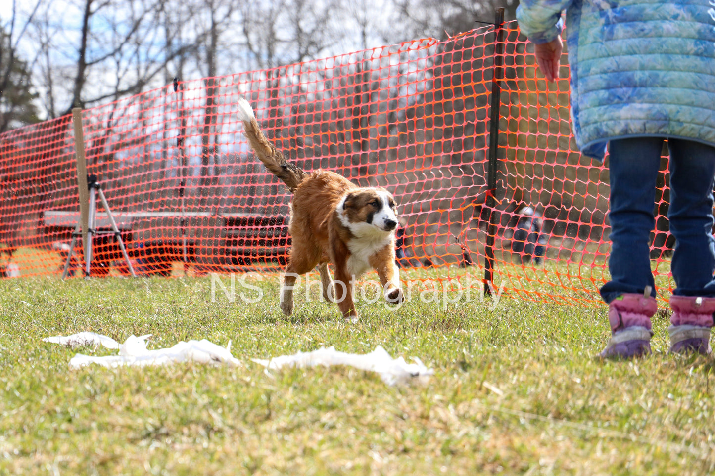 Chase (IMG3483)