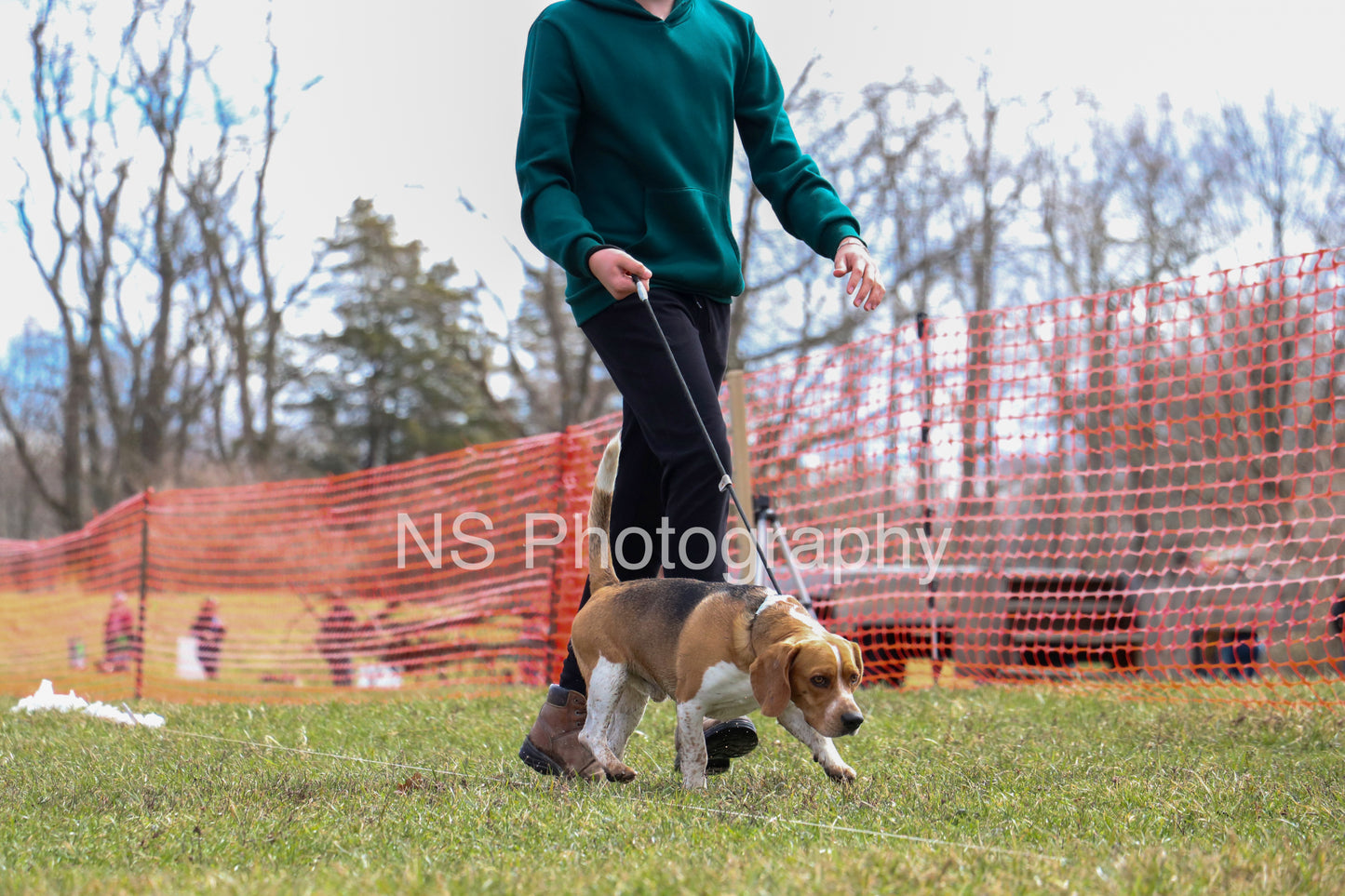 Toby (IMG3570)