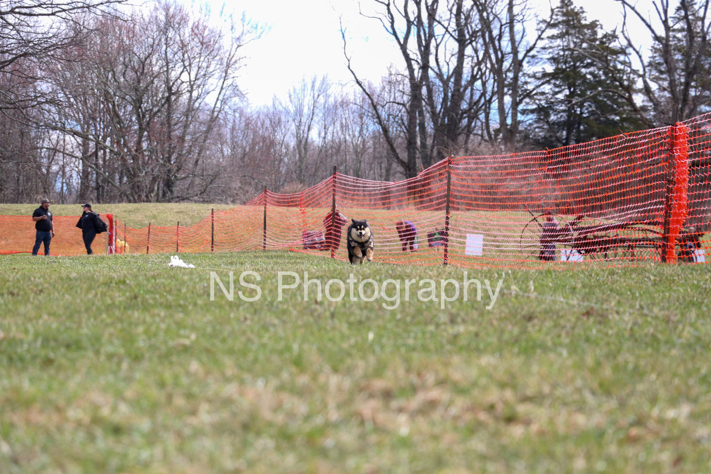 Rory (IMG3576)