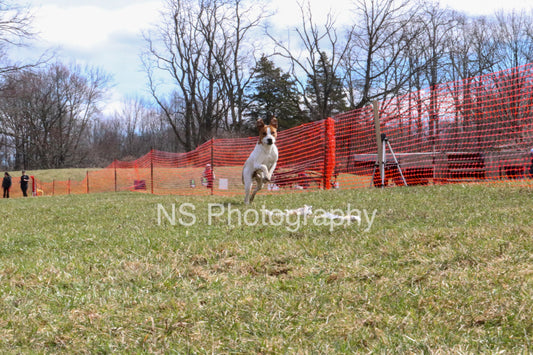 Tango (IMG3984)
