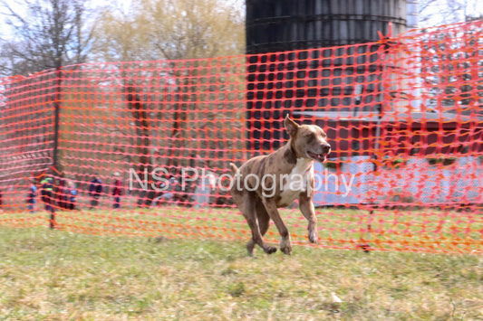 Parker (IMG4295)