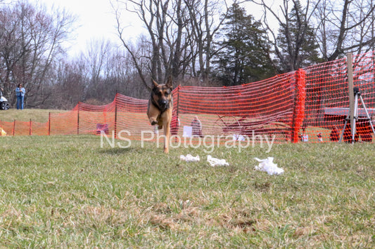 Mia (IMG4447)
