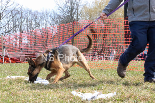 Mia (IMG4457)