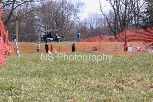 Rhino (IMG4461)