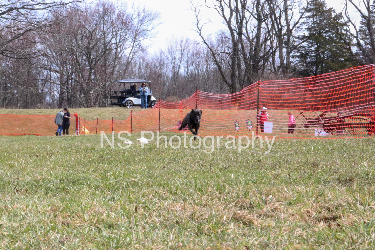 Rhino (IMG4467)
