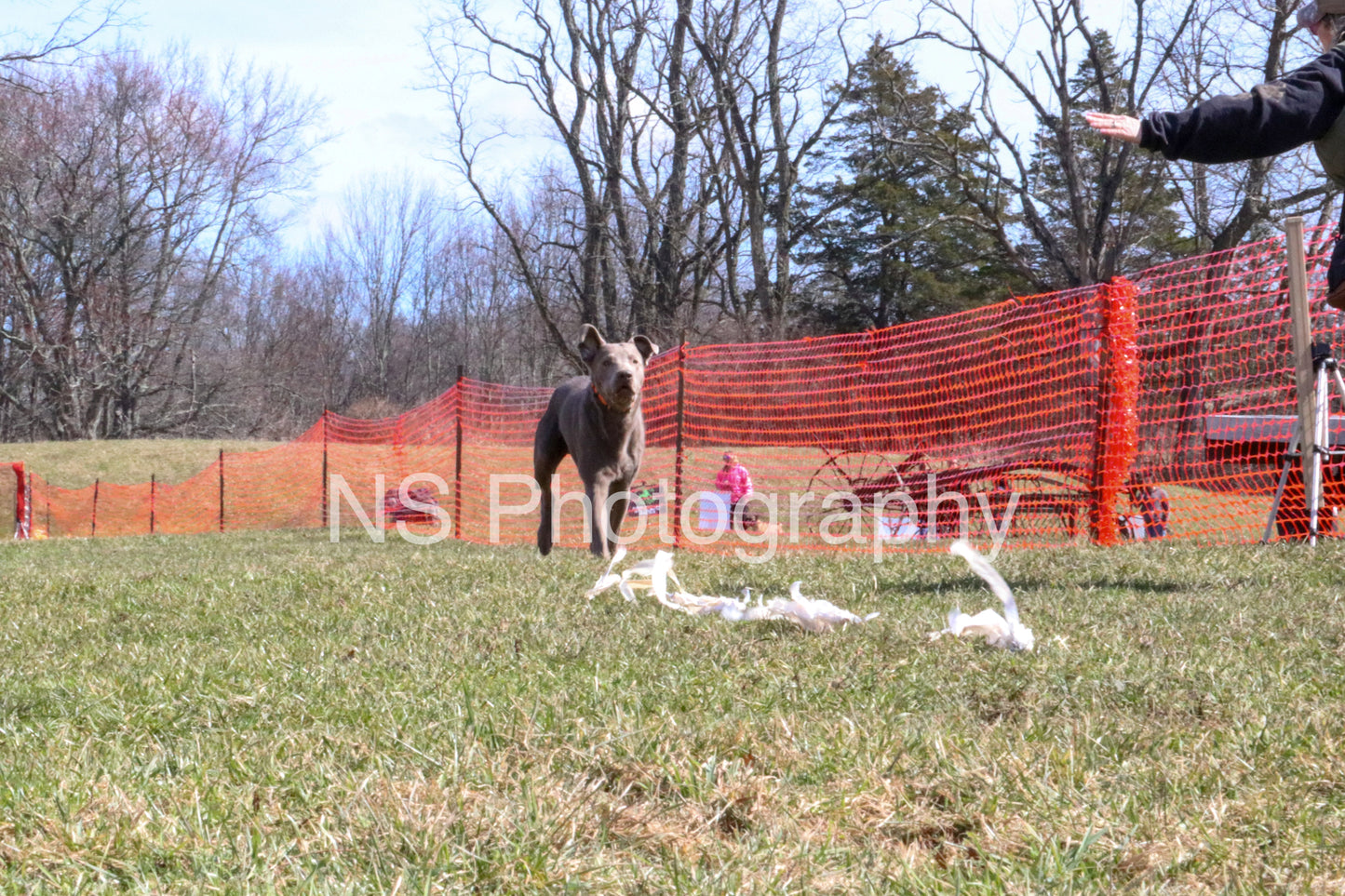 Asher (IMG4919)