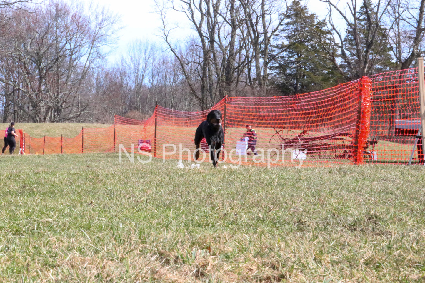 Cash (IMG5222)