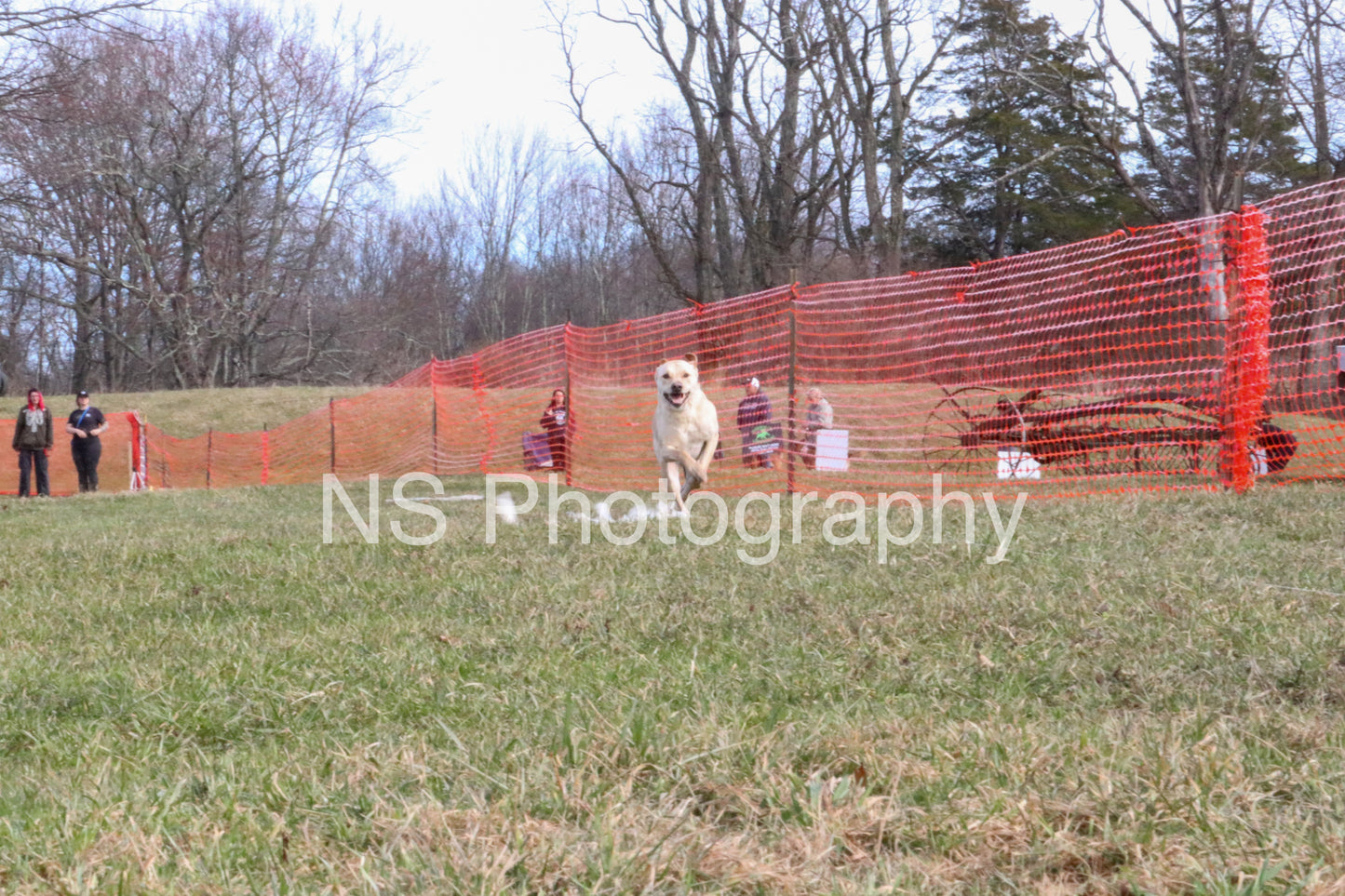 Oakley (IMG5656)