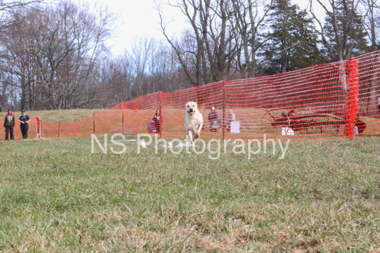 Oakley (IMG5656)