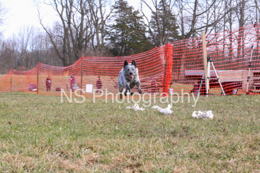 Hero (IMG5754)