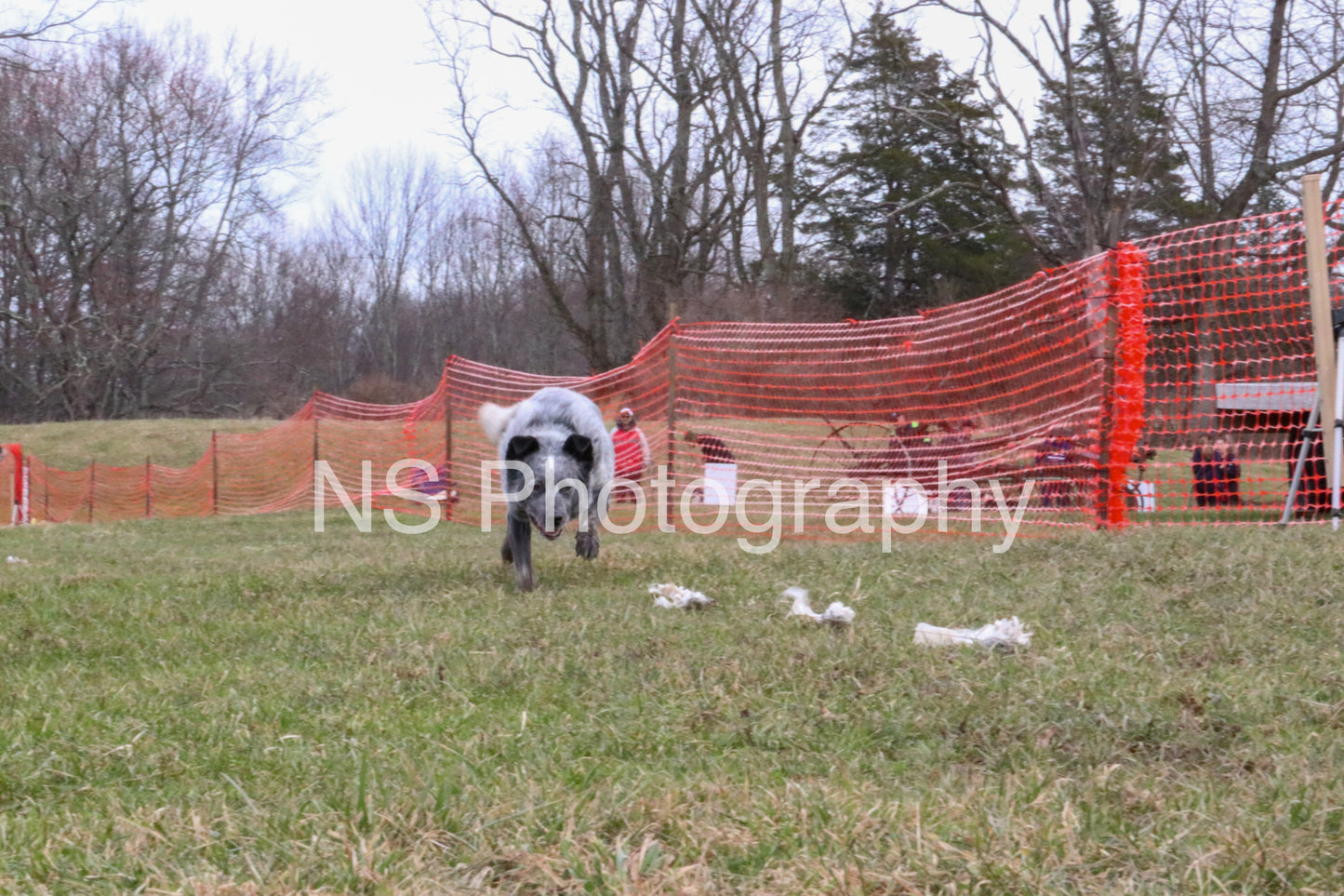 Hero (IMG6101)